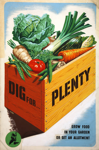 The image shows a poster from the Second World War. On the poster is an image of a wooden crate with DIG FOR PLENTY written on it. In the crate are a range of vegetables including cabbage, parsnip, carrots, peas and tomato.Below the picture of the crate, on the poster are written the words GROW FOOD IN YOUR GARDEN OR GET AN ALLOTMENT.
