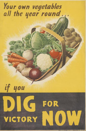 The image shows a poster from the Second World War. The top two thirds are yellow with text in black reading Your own vegetables all the year round... if you. At the centre of the yellow background is a gardening basket full of vegetables includeing marrow, potatoes, tomatoes, carrots and onions. The bottom third of the poster is a black background, in yellow letters on the black background is DIG FOR VICTORY NOW.