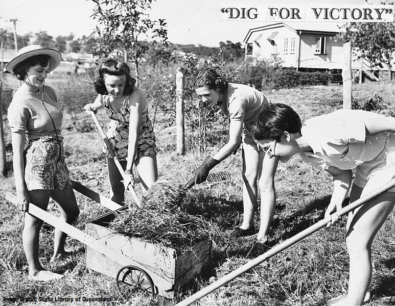 The image shows four women in shorts and tops loading cut grass or hay in to a wooden wheelbarrow.